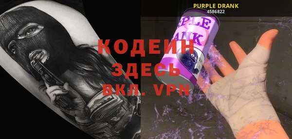 индика Армянск