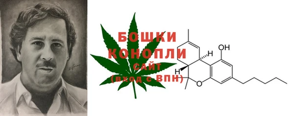 гидра Аркадак