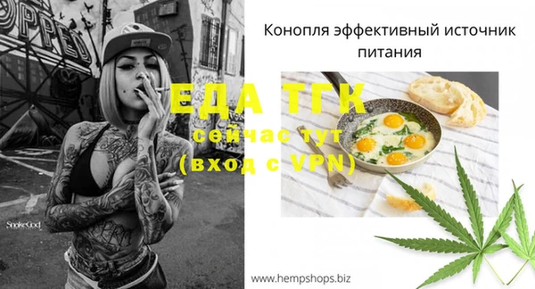 индика Армянск